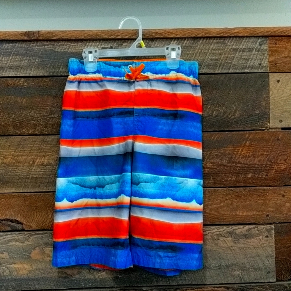 Boys ZeroXPosur & Big Chill, size 14/16 Swim Trunk